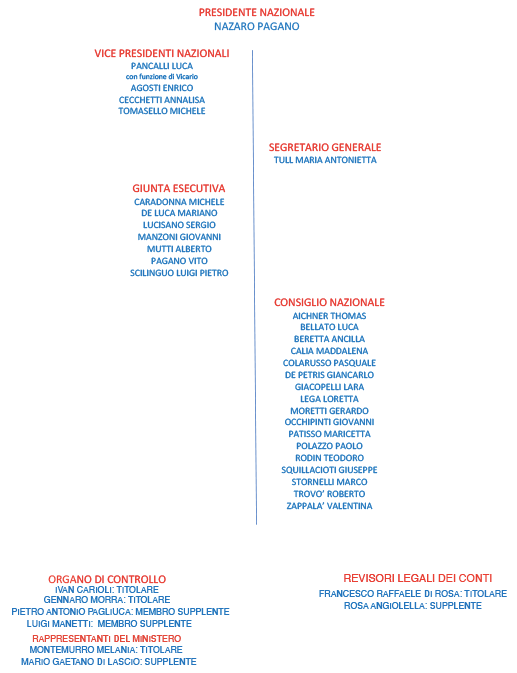 organigramma anmic DEFINITIVO